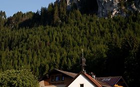 Der Tannenhof